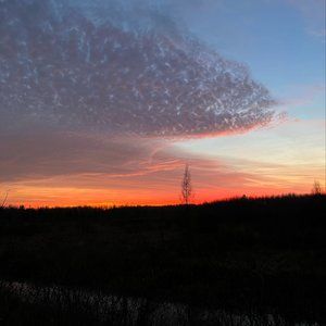 Meet your Posher, Luke